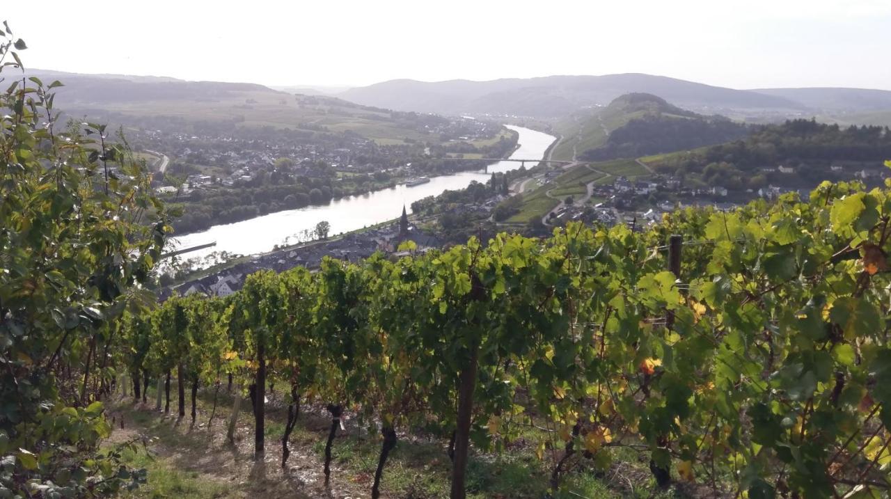 Fewo Sonnenlay - Apartments An Der Mosel Brauneberg Zewnętrze zdjęcie