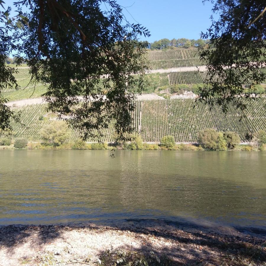 Fewo Sonnenlay - Apartments An Der Mosel Brauneberg Zewnętrze zdjęcie
