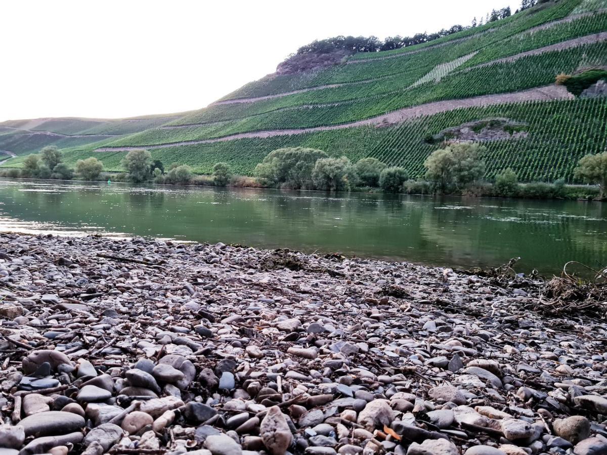 Fewo Sonnenlay - Apartments An Der Mosel Brauneberg Zewnętrze zdjęcie