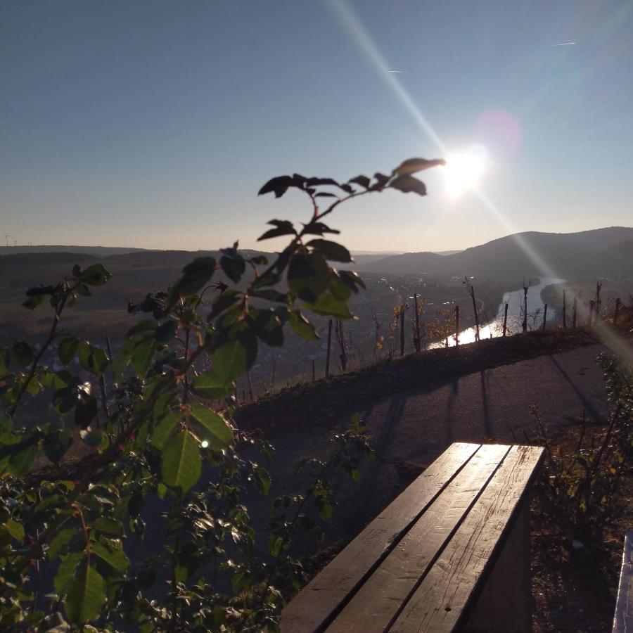 Fewo Sonnenlay - Apartments An Der Mosel Brauneberg Zewnętrze zdjęcie