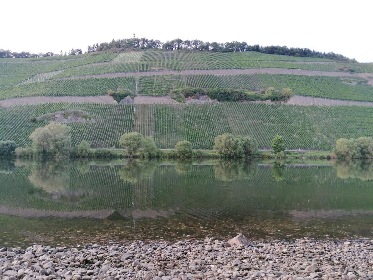 Fewo Sonnenlay - Apartments An Der Mosel Brauneberg Zewnętrze zdjęcie