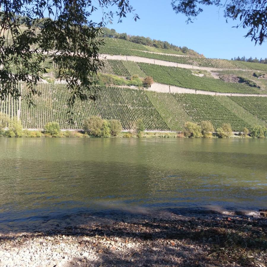 Fewo Sonnenlay - Apartments An Der Mosel Brauneberg Zewnętrze zdjęcie