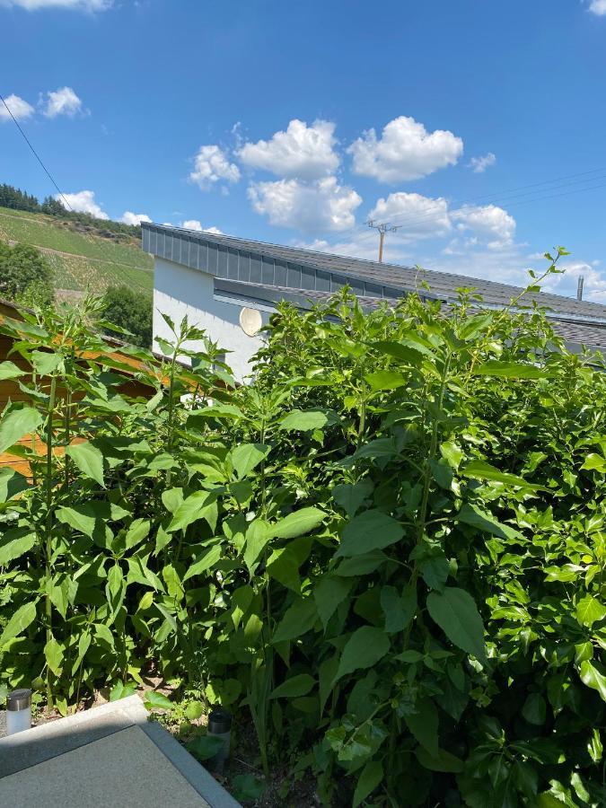 Fewo Sonnenlay - Apartments An Der Mosel Brauneberg Zewnętrze zdjęcie